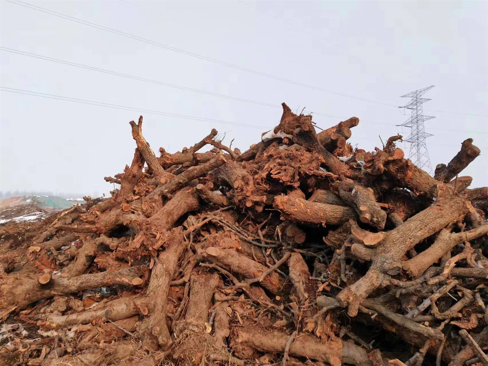 fruit wood.jpg